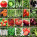 Vegetables