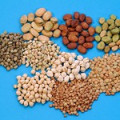 SEEDS 